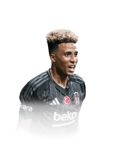 Gedson Fernandes image