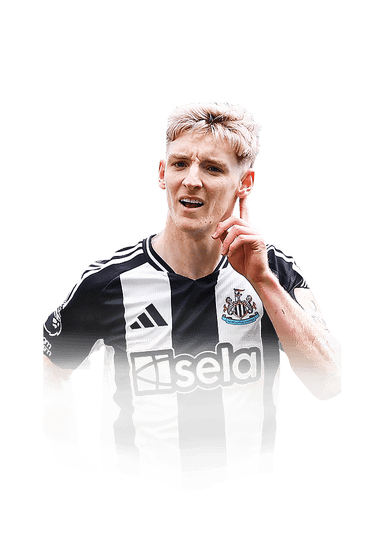 Gordon image