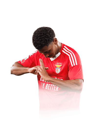 Barreiro Martins image