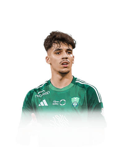 Gabri Veiga image