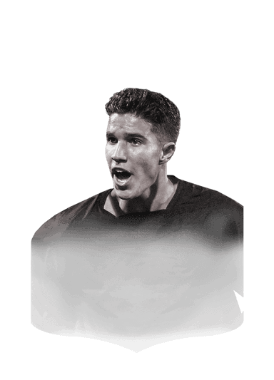 van Persie image