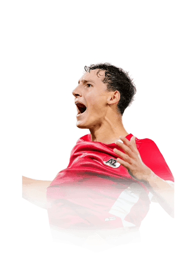 van Bommel image
