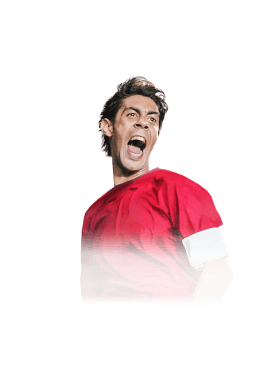 Rui Costa image