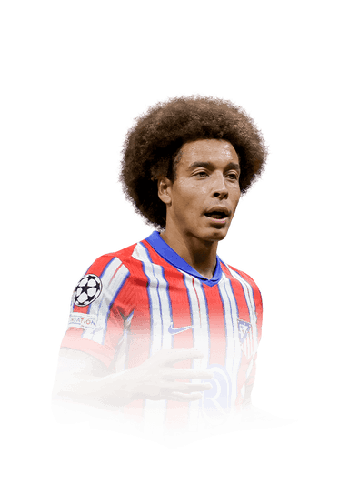 Witsel image