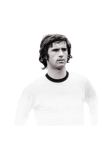 Müller image