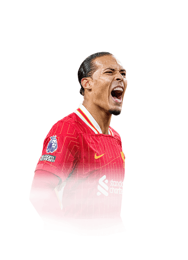 van Dijk image