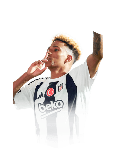 Gedson Fernandes image