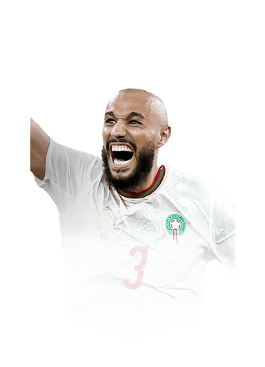 Mazraoui image