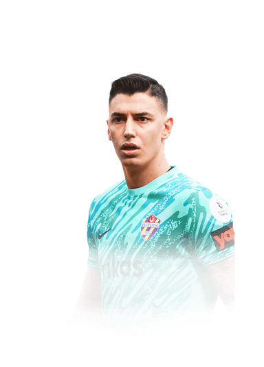 Özer image