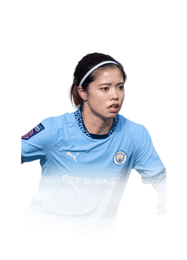 Hasegawa image