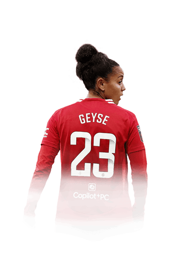Geyse image