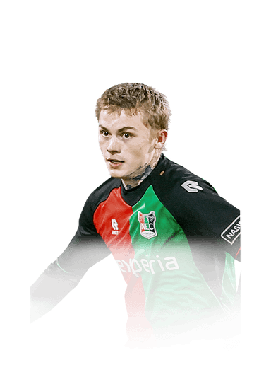 Hansen-Aarøen image