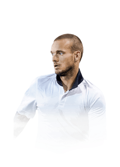 Sneijder image
