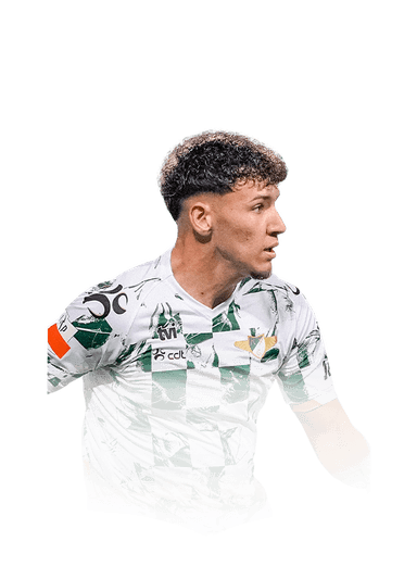 Diogo Travassos image