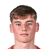 Lawlor image