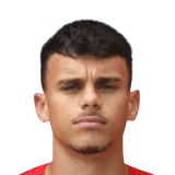 Gustavo image