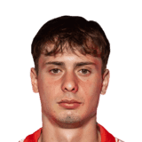 Bragantini image