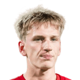 Nielsen image