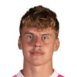 Dudek image