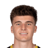 Damevski image