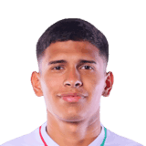 Roldán image