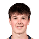 Dobson image