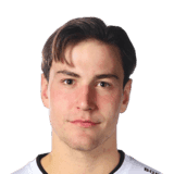 Eriksson image