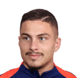Ivanović image