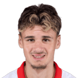 Alajbegović image