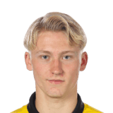Leandersson image