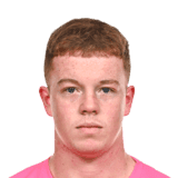 Healy image