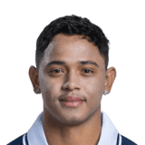 Pedrinho image