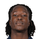 Ajayi image