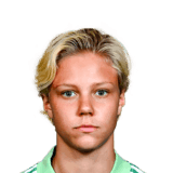 Andersson image