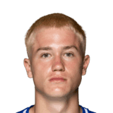 Dudek image
