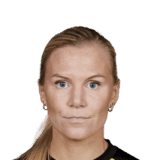 Rybrink image