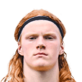 van der Laan image