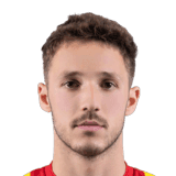 Svetlin image
