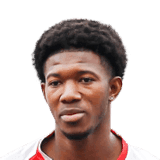 Diarra image