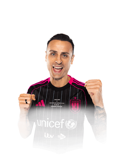 Berbatov image
