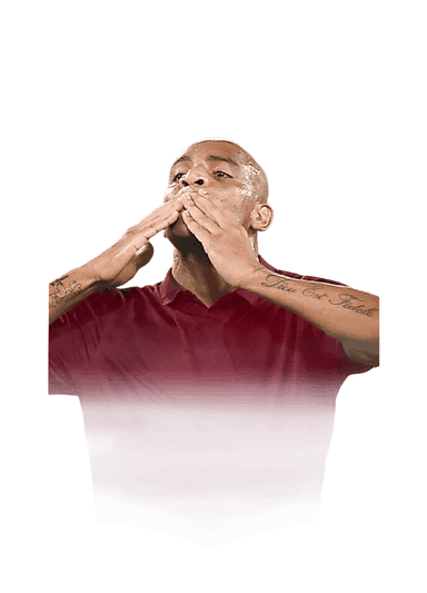 Maicon image