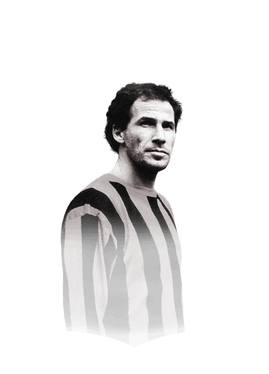 Baresi image