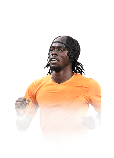 Gervinho image