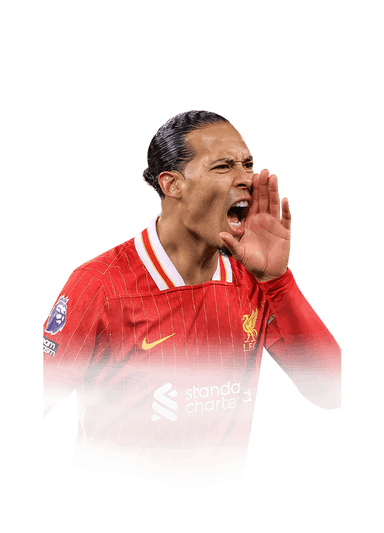 van Dijk image