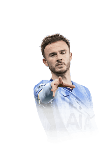 Maddison image