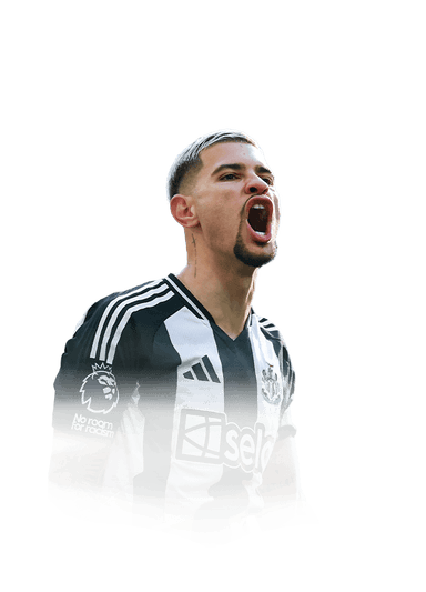 Bruno Guimarães image