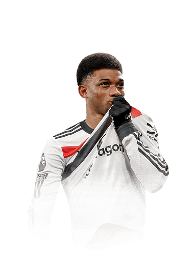 Diallo image