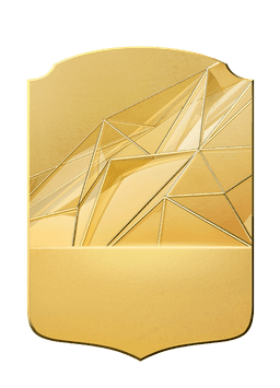 collection-type-image
