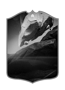 collection-type-image