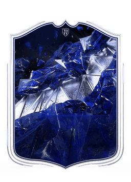 collection-type-image